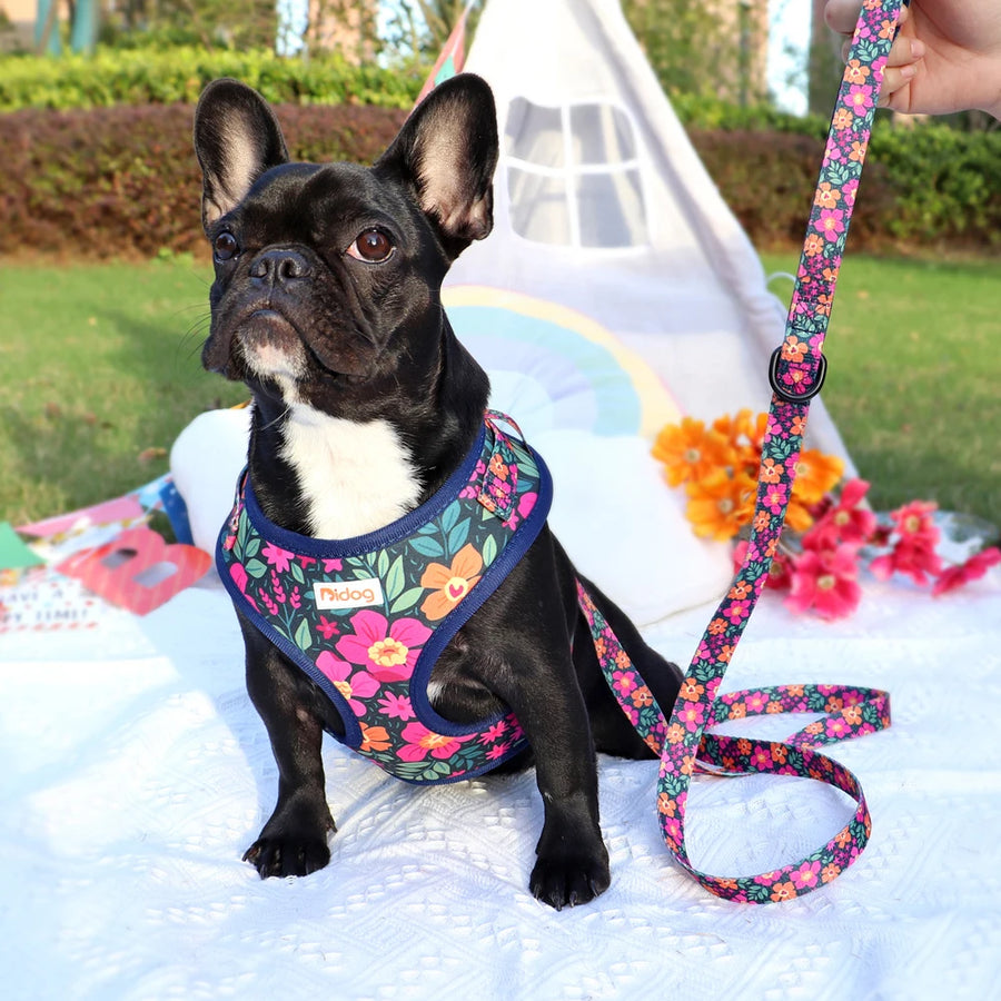 Printed Mesh Puppy Harness Leash Set