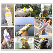 Adjustable Parrot Harness Leash Set