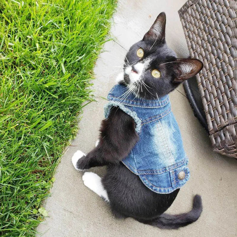 Casual Denim Vest Jacket For Cats