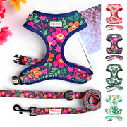 Printed Mesh Puppy Harness Leash Set