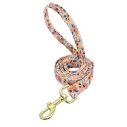 Custom Engraved Nylon Dog Collar Set