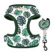 Printed Mesh Puppy Harness Leash Set