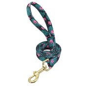 Custom Engraved Nylon Dog Collar Set