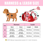 Printed Mesh Puppy Harness Leash Set