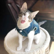 Casual Denim Vest Jacket For Cats