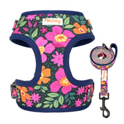 Printed Mesh Puppy Harness Leash Set