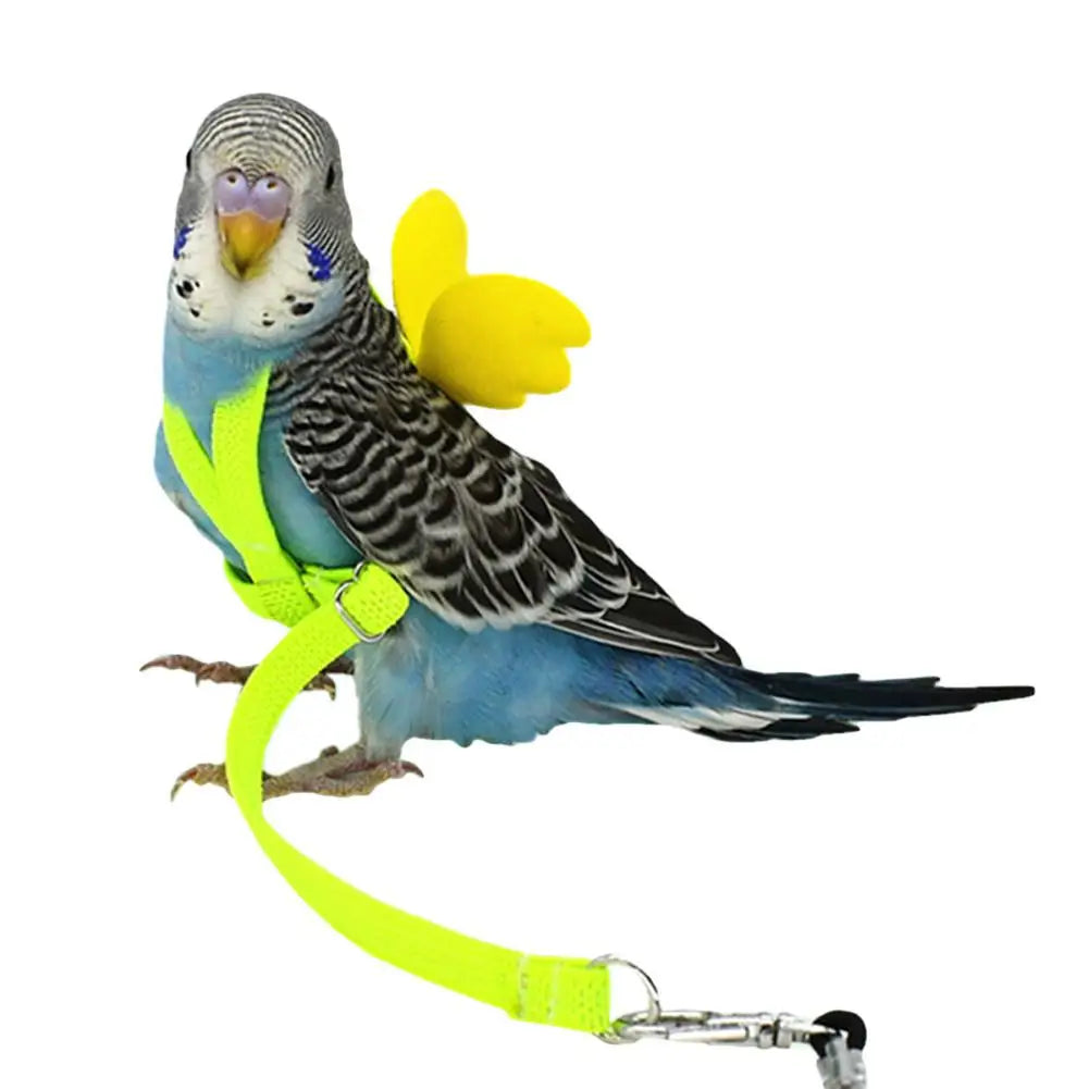 Adjustable Parrot Harness Leash Set