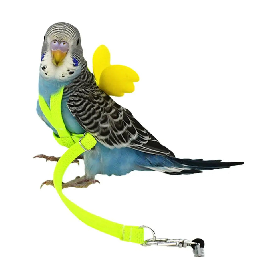 Adjustable Parrot Harness Leash Set