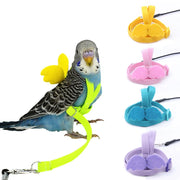 Adjustable Parrot Harness Leash Set