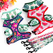 Printed Mesh Puppy Harness Leash Set