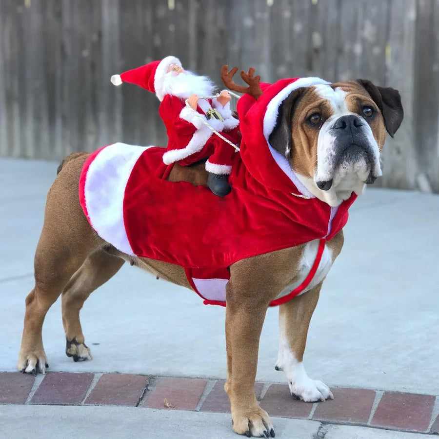 Santa Costume Outfit For Dogs Cats