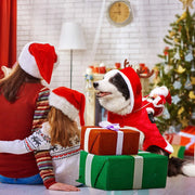 Santa Costume Outfit For Dogs Cats