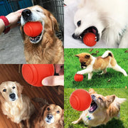 Bite Resistant Rubber Dog Ball Toy
