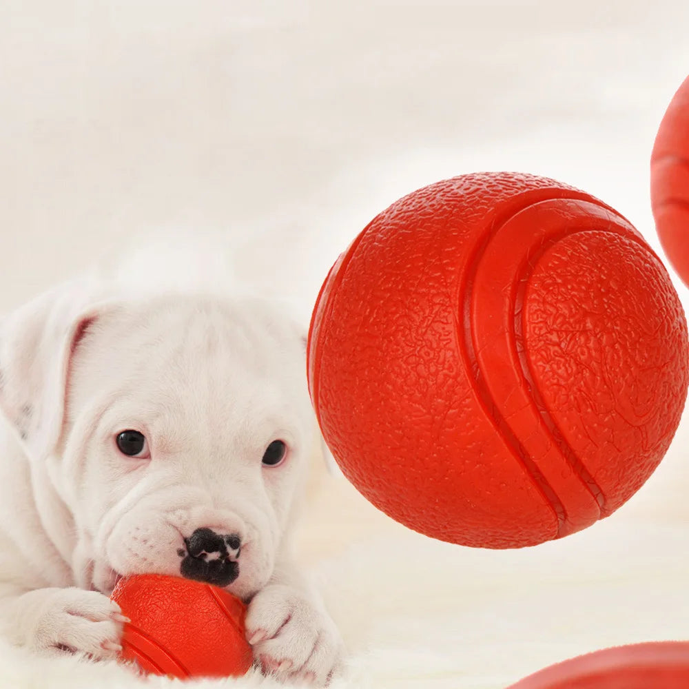 Bite Resistant Rubber Dog Ball Toy