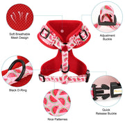 Printed Mesh Puppy Harness Leash Set