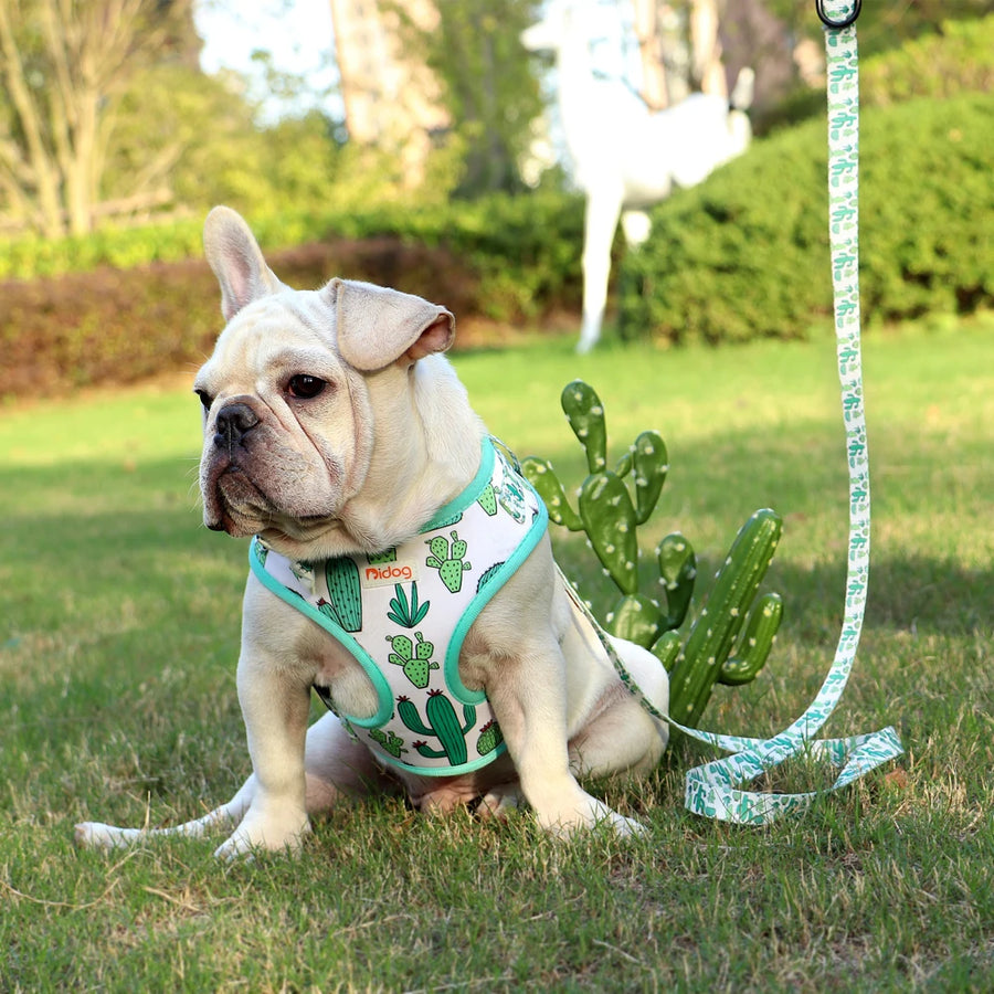 Printed Mesh Puppy Harness Leash Set
