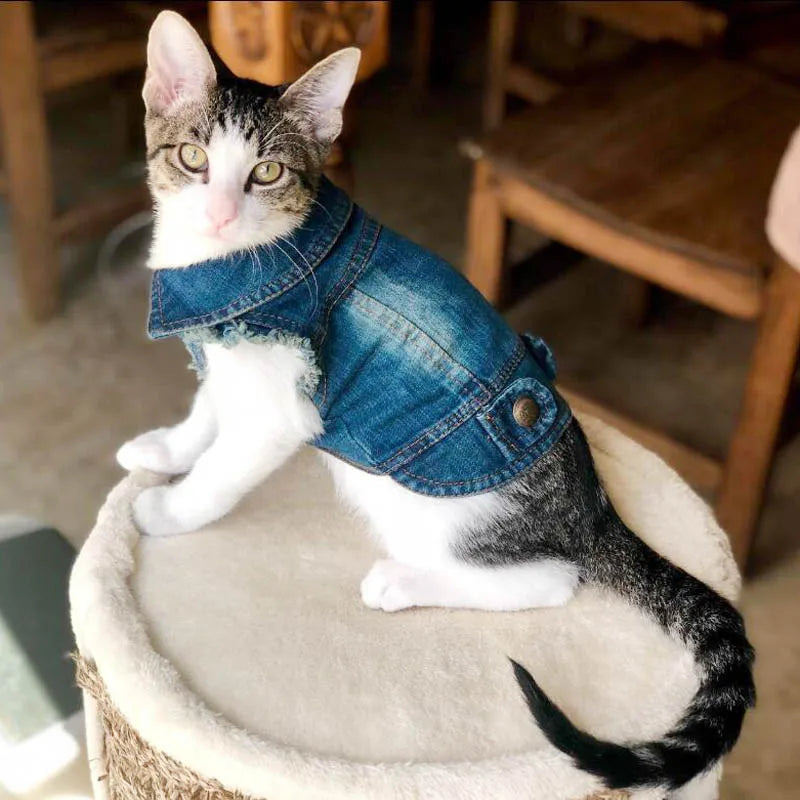 Casual Denim Vest Jacket For Cats