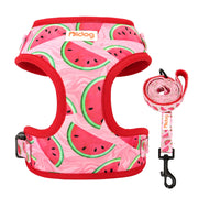 Printed Mesh Puppy Harness Leash Set