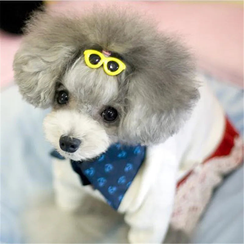 Heart Pet Hair Clip Accessory