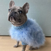 Fashion Party Sweater For Autumn Dogs