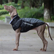 Fur Collar Coat For Large Dogs