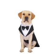 Formal Tuxedo Outfit For Special Events