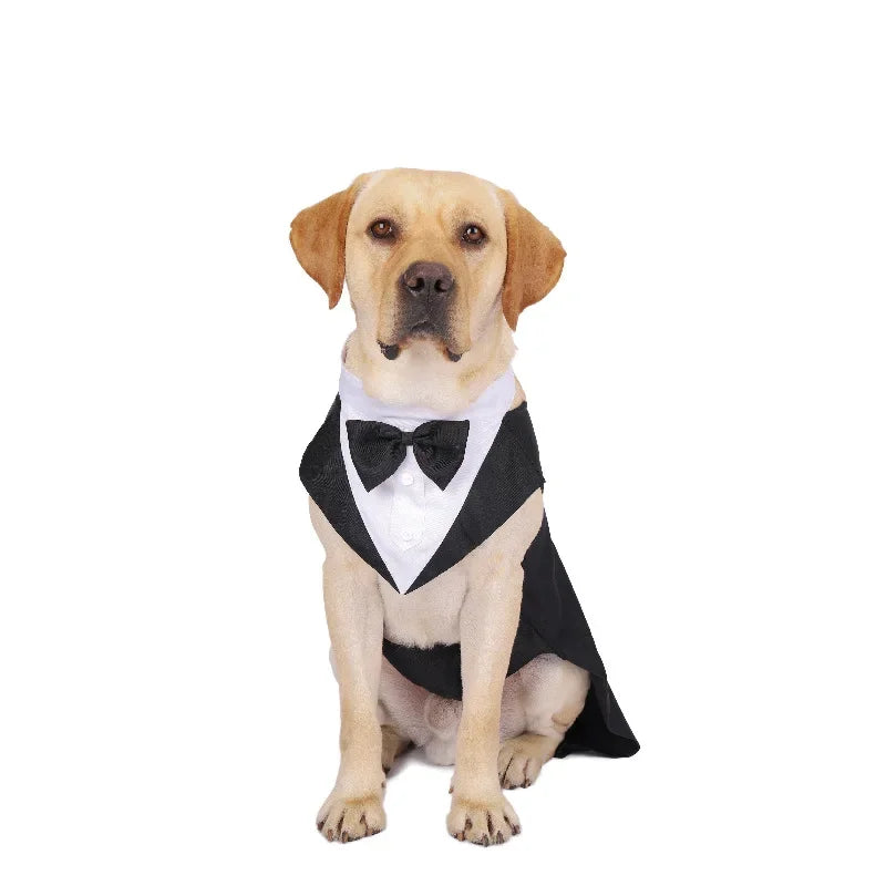 Formal Tuxedo Outfit For Special Events