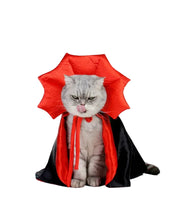 Halloween Vampire Cloak Costume For Pets