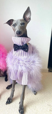 Fashion Party Sweater For Autumn Dogs