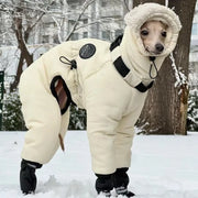 Full Neck Winter Jacket For Large Dogs