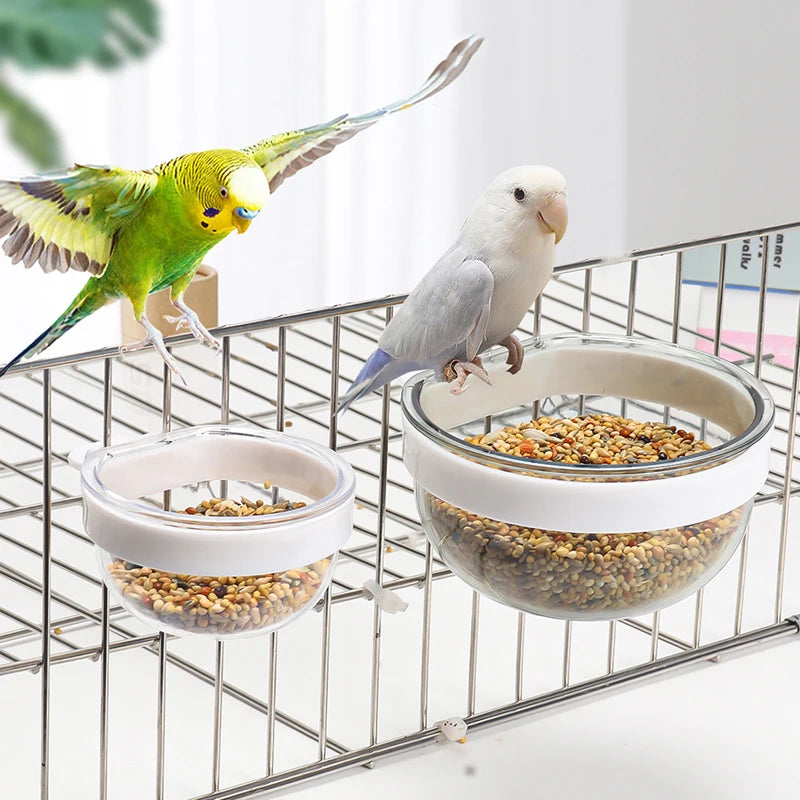 Detachable Transparent Bird Feeder Cup