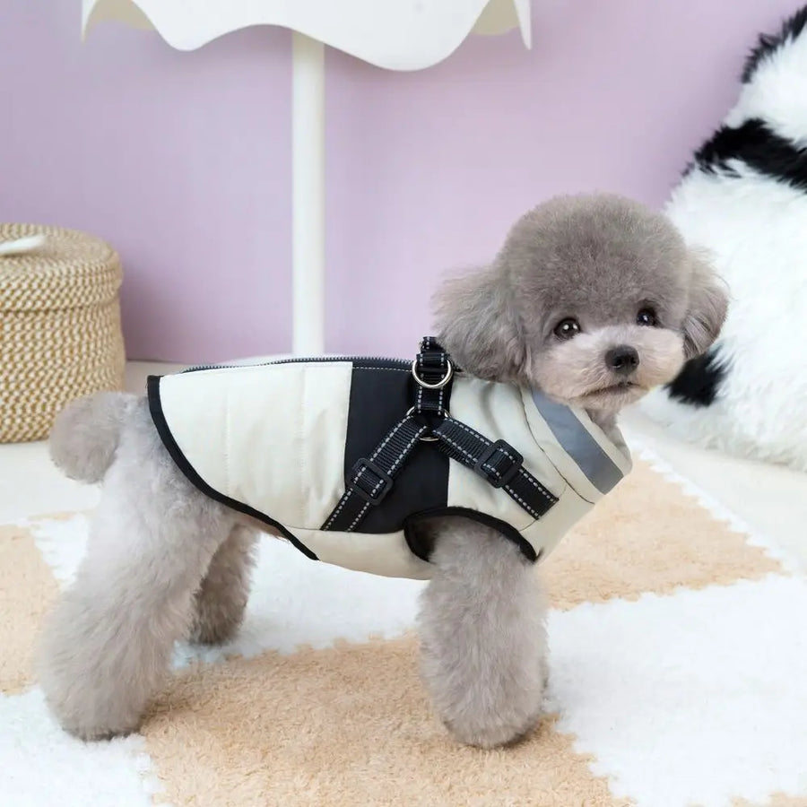Reflective Harness Jacket For Windy Walks