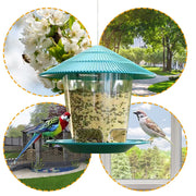 Hanging Peanut Seed Bird Feeder