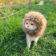 Lion Head Cat Hat For Photos