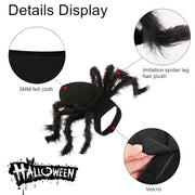 Spider Halloween Costume For Cats Dogs