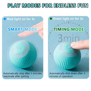 Smart Rolling Interactive Cat Ball