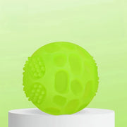Glow In Dark Squeaky Dog Ball