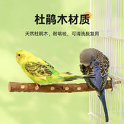 Natural Wood Bird Perch Stand
