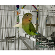 Parrot Fruit Vegetable Holder Clip