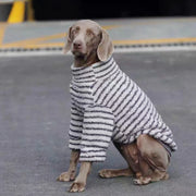Striped Turtleneck Sweater For Medium Dogs