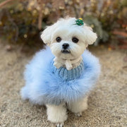 Fashion Party Sweater For Autumn Dogs
