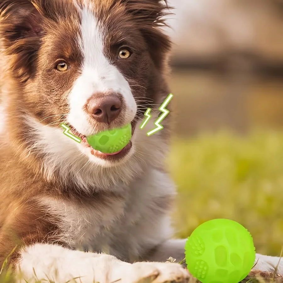 Glow In Dark Squeaky Dog Ball