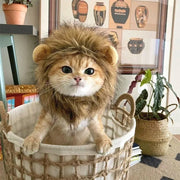 Lion Head Cat Hat For Photos
