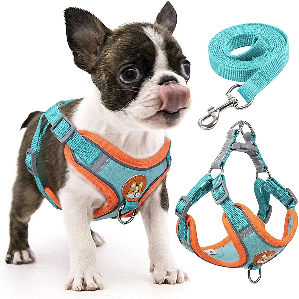 Step In Reflective Dog Harness Set