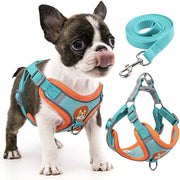 Step In Reflective Dog Harness Set