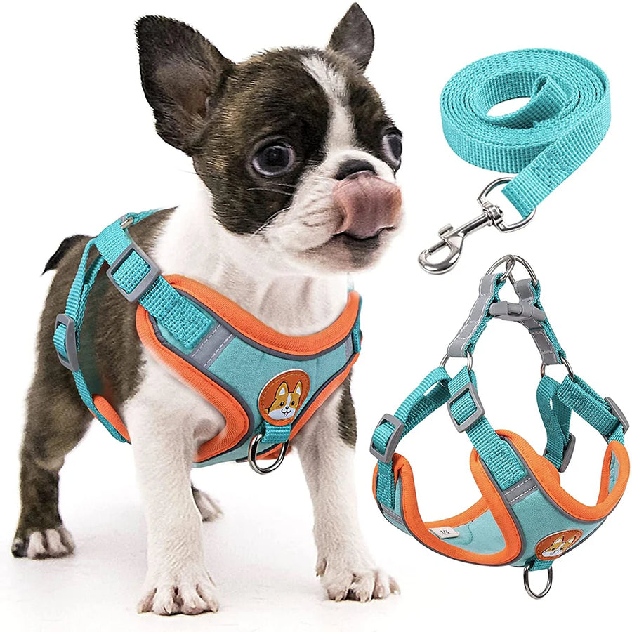 Step In Reflective Dog Harness Set