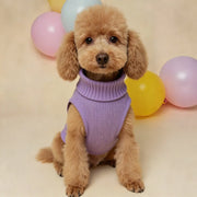Lightweight Warm Sweater For Outdoor Dogs