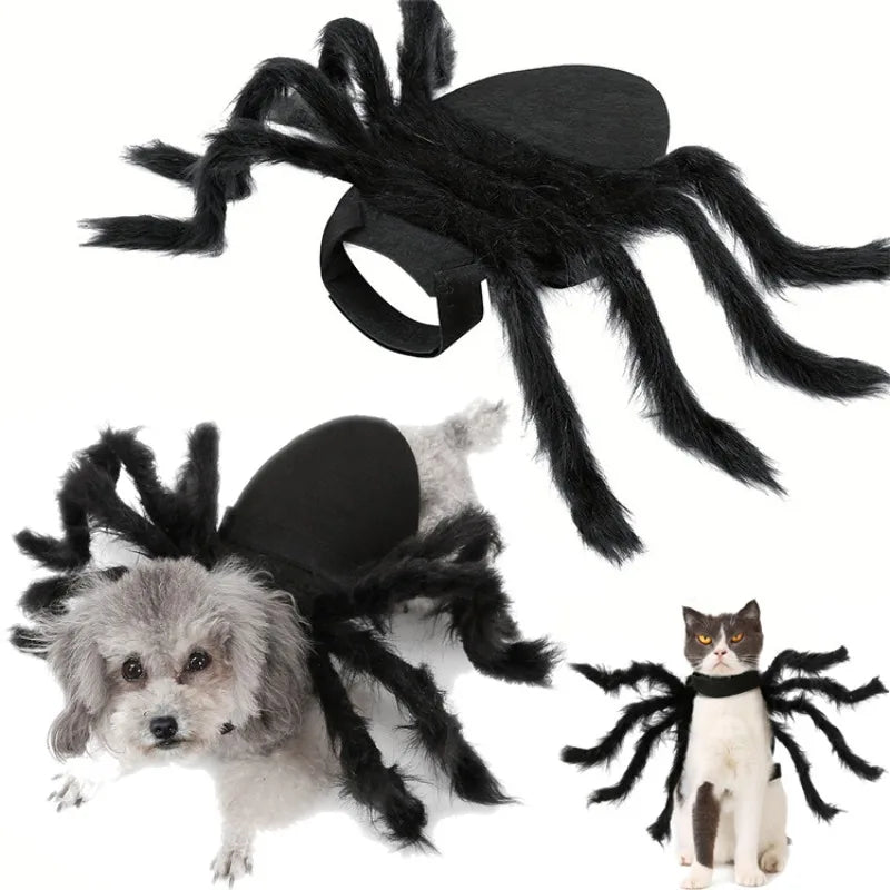 Spider Halloween Costume For Cats Dogs