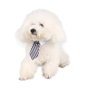 Adjustable Pet Bow Tie Collar