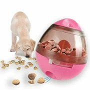 IQ Treat Dispenser Dog Ball Toy